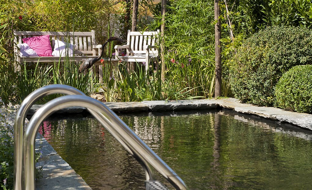 piscine naturelle avec echelle