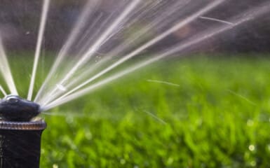 arrosage de jardin en marche