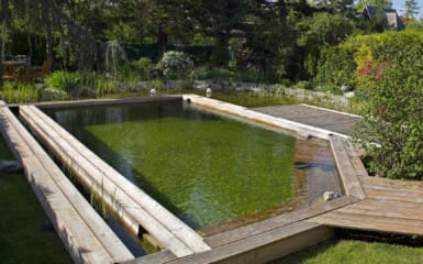 Piscine naturelle