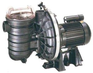 Pompe Starite S5P2R eau salée 3/4 CV Mono